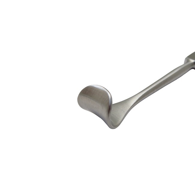 �ǥ��ޡ��쥹��٨ʿ�á�16.0cm���鲼�����ؤθ��������Ϥ�¡��ȿ��ΰ��Ӥˡ���