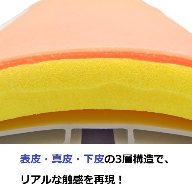 ˥��ѥå�Pro L��14cm x 12cm��1��ޤ���2���ȡˤޤ���Pro S��7cm x 12cm��4���ȡ��ѵ���ȴ����
