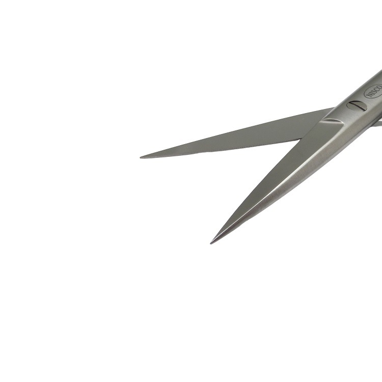 ѡåȷʥͥ߷ȿΥڳˡˡ14.0cm