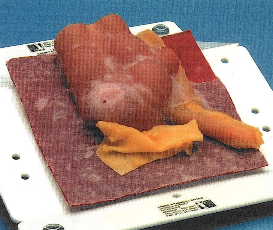 ����ǥ룳���ࡡ����̵�����ʤ��Ф��衢���߳����������ˤ����ϲ�������