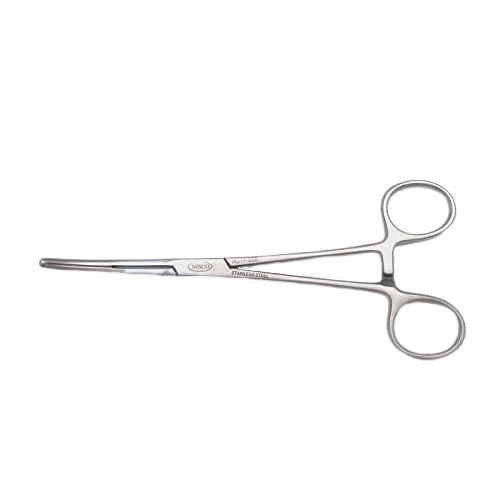 ʢҡʥߥåġʢĻˡʢڳ-ʢäޤǤδ֤ˡ