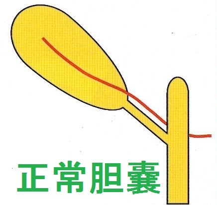 ��ǹ��ǥ롡������