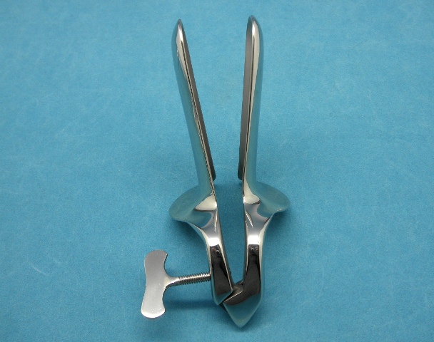 �������紶�