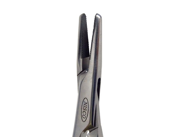 F���ޥå��奦���˴�(TC)(�礭���˥��ˤ��Ļ����礭�ʼ���ϤΥ��ڤ�)