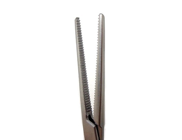 ڥ߷ҡ̵áˡȿĻΥ˥ɥơפĻˡ