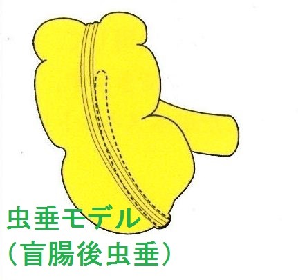 ����ǥ룳���ࡡ����̵�����ʤ��Ф��衢���߳����������ˤ����ϲ�������