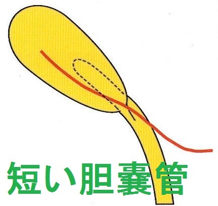 ��ǹ��ǥ롡������