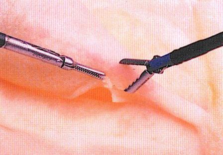 ��ǹ��ǥ롡������