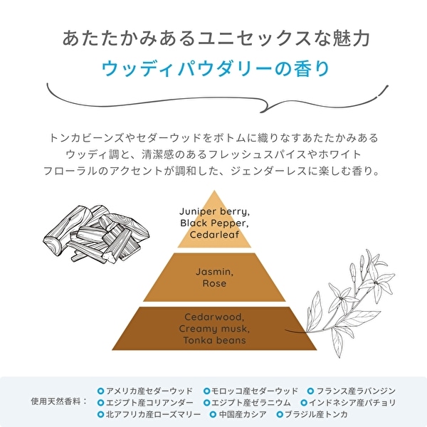 【シールプレゼント対象外】ファーファオンライン限定　ナンバーズ　柔軟剤　ウッディパウダリーの香り　No.019-O-L-P　※送料込み※1商品のみご注文ください