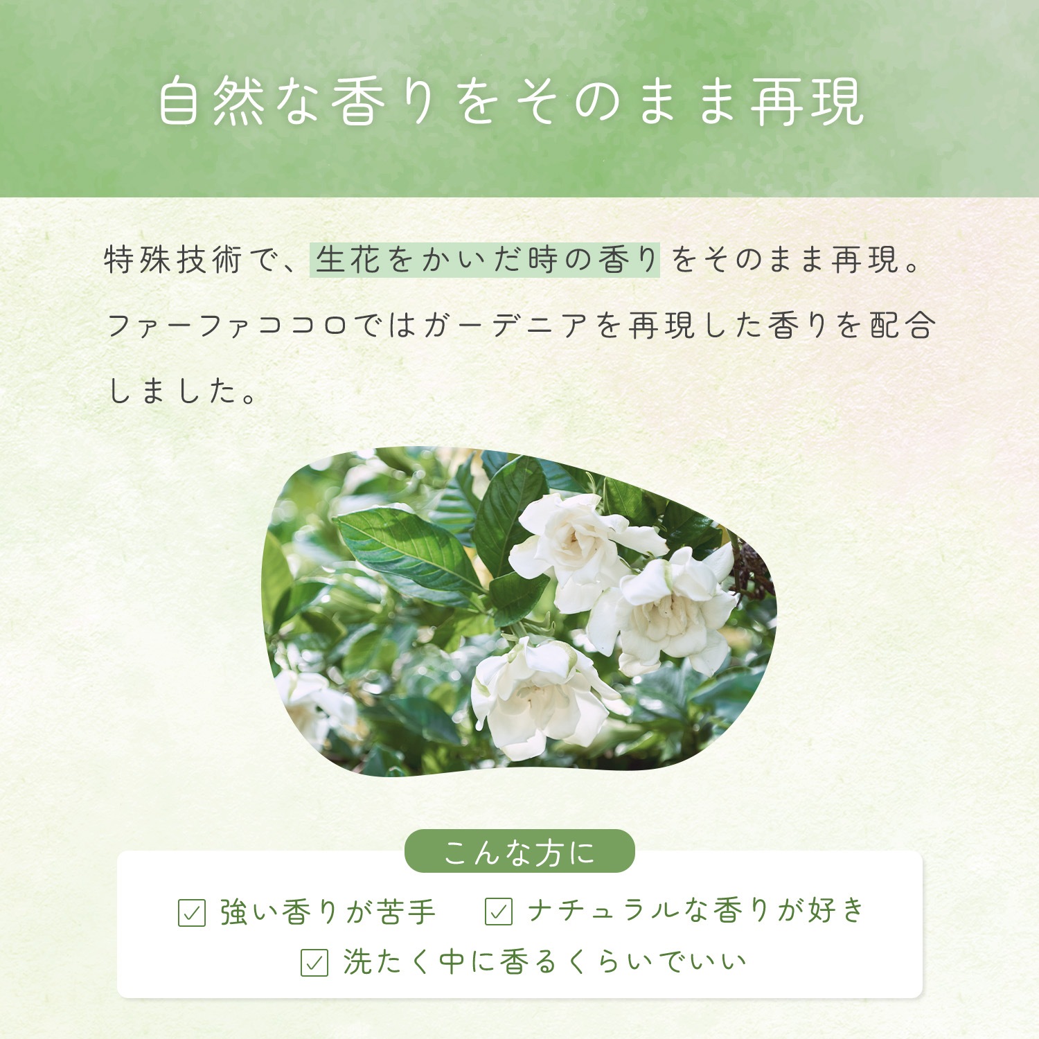 ファーファココロ洗たく用洗剤・柔軟剤詰替セット　S970318