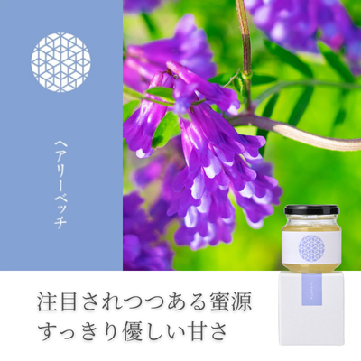 国産はちみつ3種セット（りんご・ヘアリーベッチ・そば）