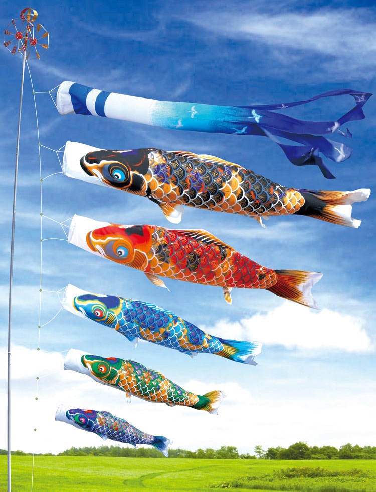 錦鯉 4匹まとめて。