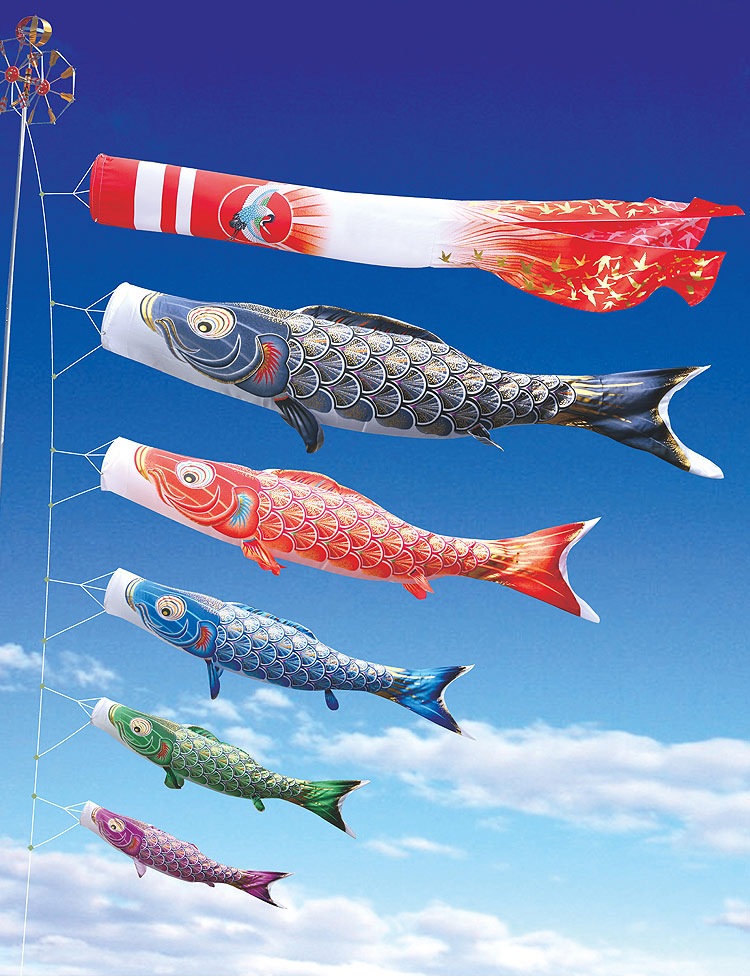 鯉のぼり　5m 黄金 金太郎黄金鯉 単品 5m(鯉のぼり)