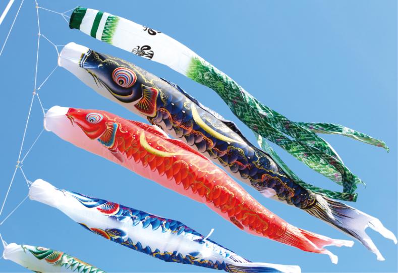 金彩弦月之鯉 豪 3mセット （鯉5匹） | 02_大型鯉のぼり,豪 | 創業1923