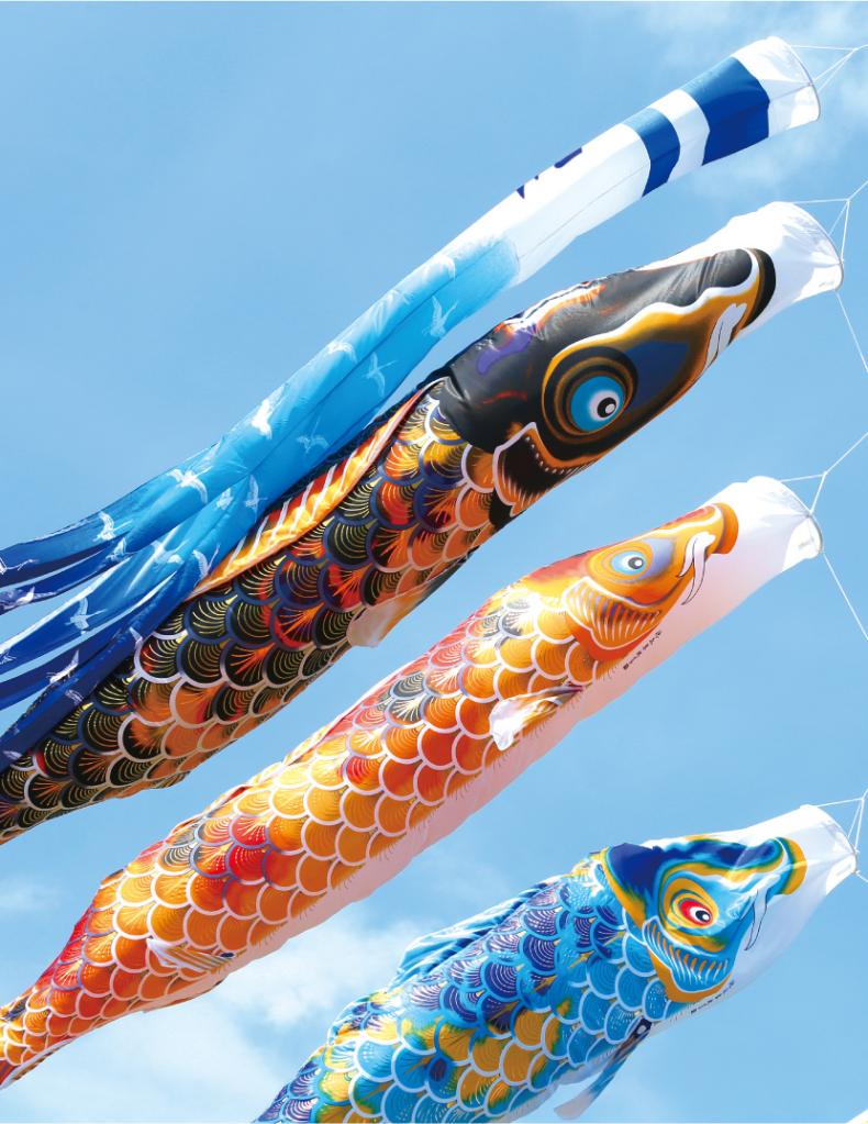 キャンバス鯉のぼり 祝（いわい） 京錦 | 18_壁掛け 室内鯉のぼり