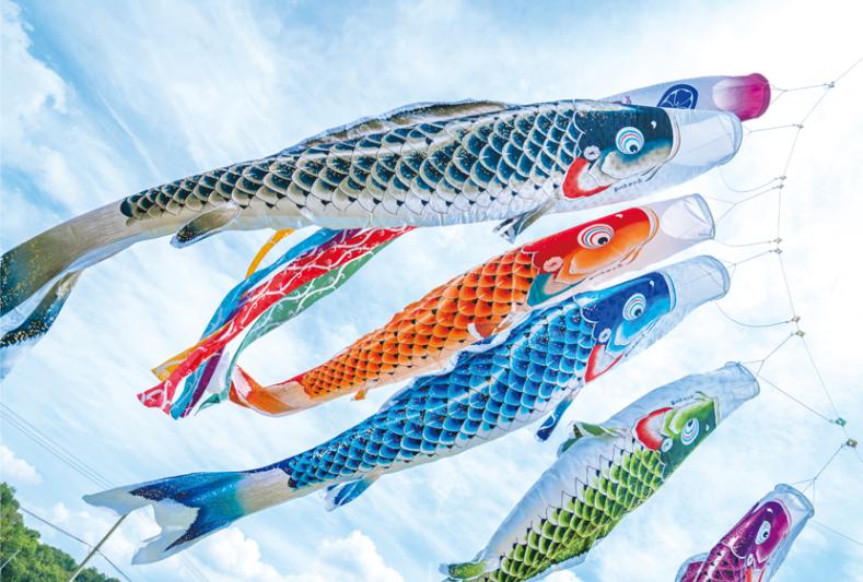 鯉のぼり吹き流し（飛龍吹き流し） 鯉のぼり吹き流し（飛龍吹き流し） 単品 銀河2m 吹き流し単品 (登竜門