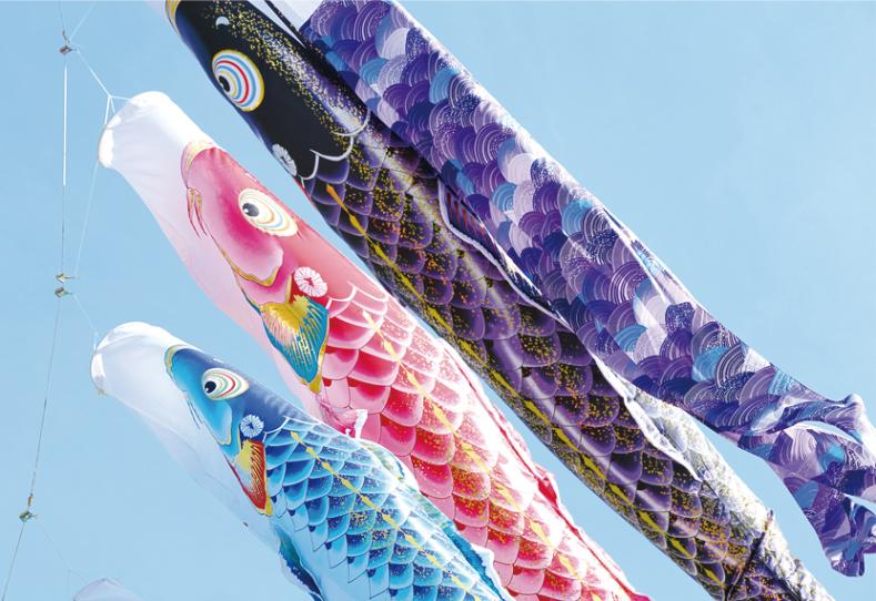 こいのぼり 単品 千寿 8m 単品鯉 黒