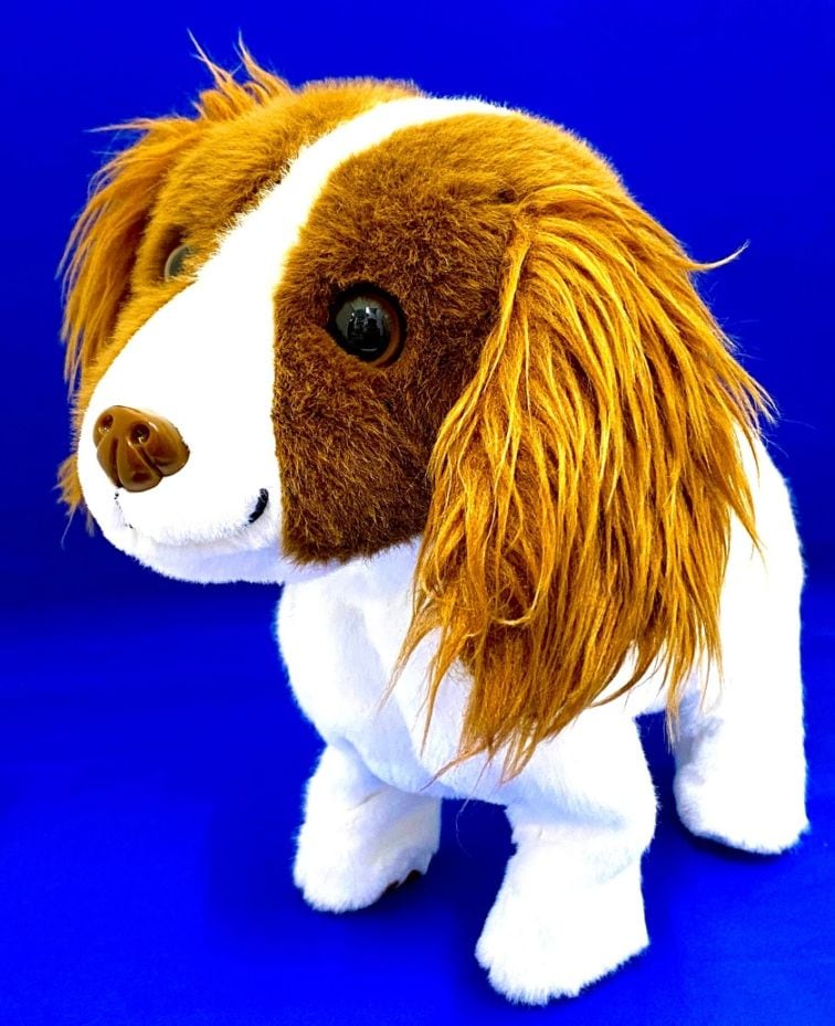 ハイタッチ！さかだっち！ショウタイム