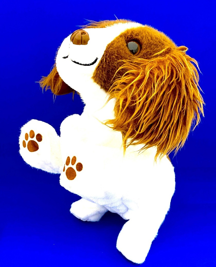 商品写真 ハイタッチ！さかだっち！ショウタイム