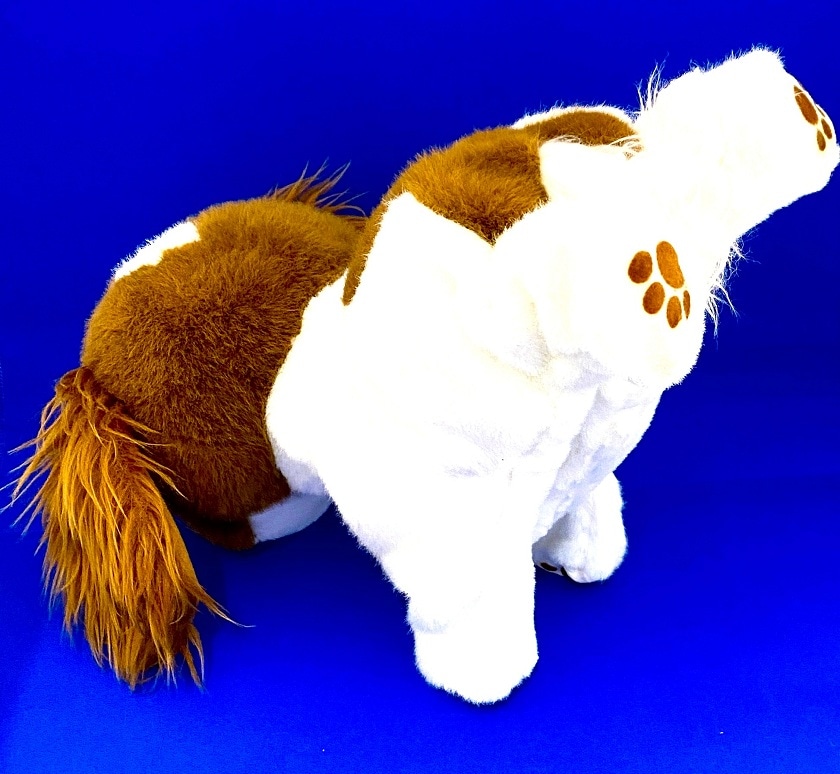 商品写真 ハイタッチ！さかだっち！ショウタイム