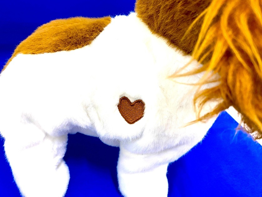 商品写真 ハイタッチ！さかだっち！ショウタイム