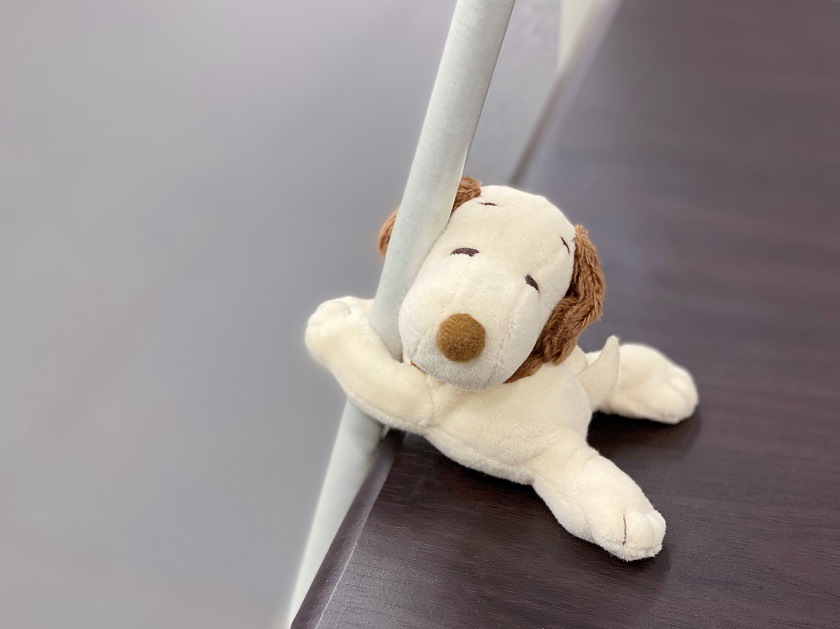 商品写真 おでかけマスコット