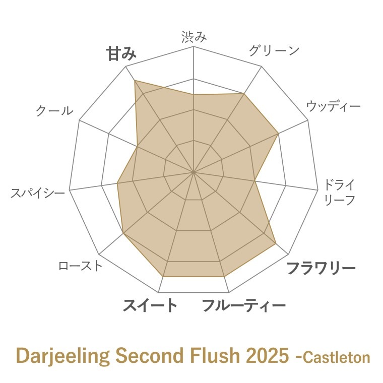 Darjeeling Second Flush 2025 -Castleton- ꡼30g 