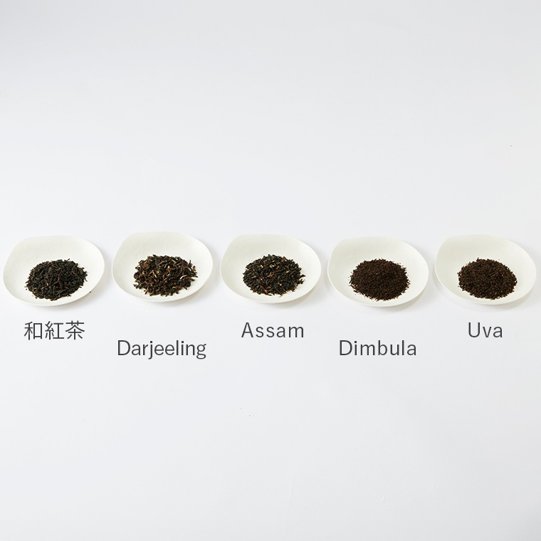 Darjeeling ������5�� by Special Selection�ڥͥ��ݥ��б����ʡ�