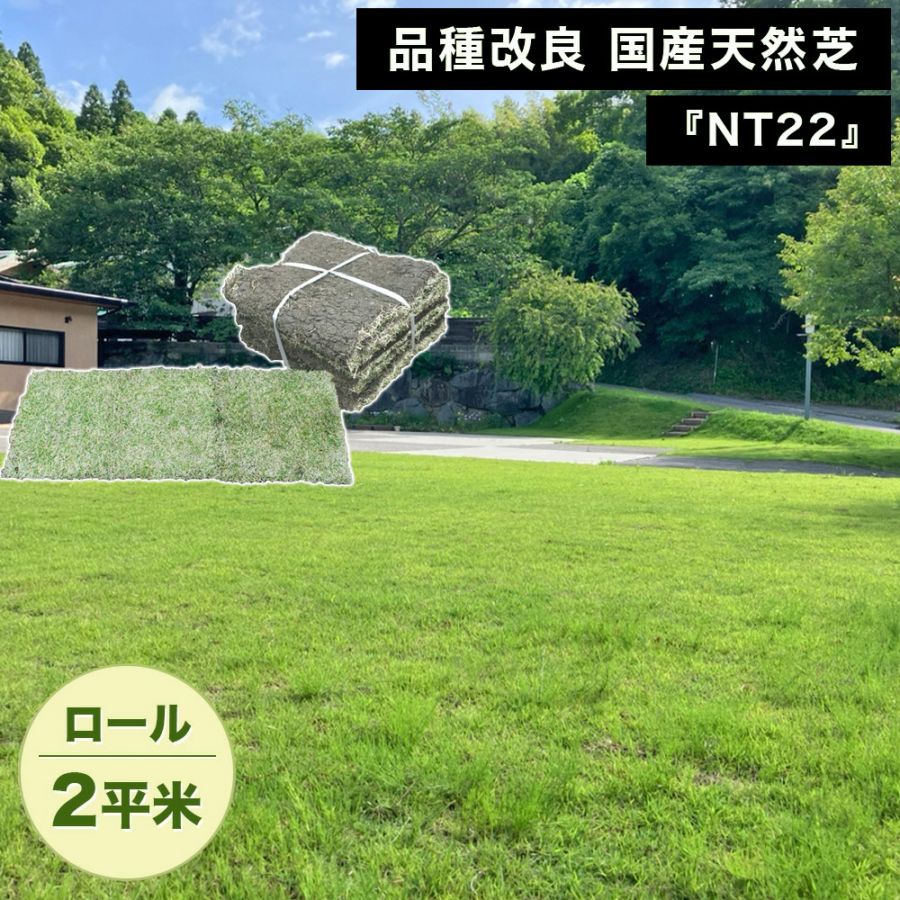 [ロール 2平米分] NT22 高級天然芝 省管理 高麗芝 国産 【通常便出荷】