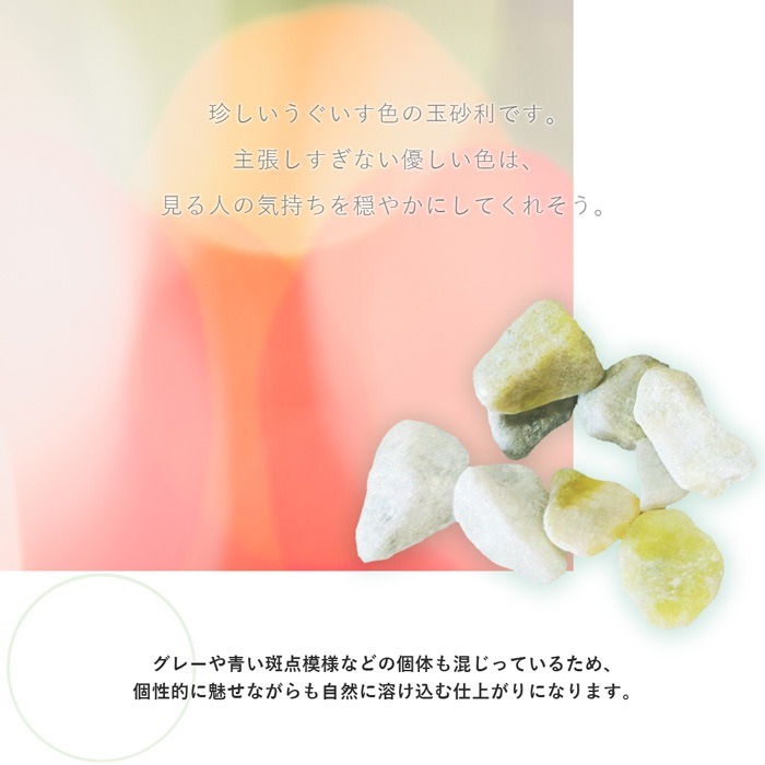 ［1.5cm］ビーンズグリーンスプレッド 玉砂利 豆緑 20kg