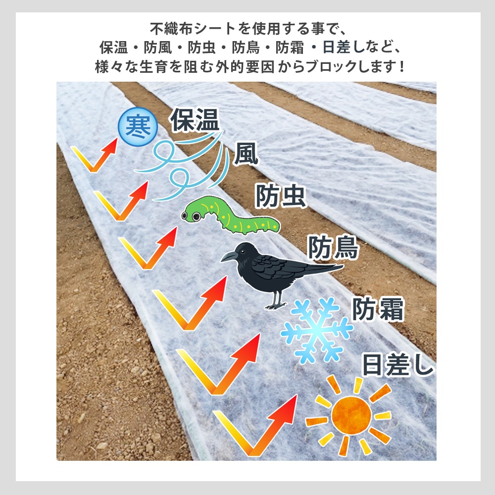 個人宅配送OK[95cm×200m] 農業用シート パオシート170 国産