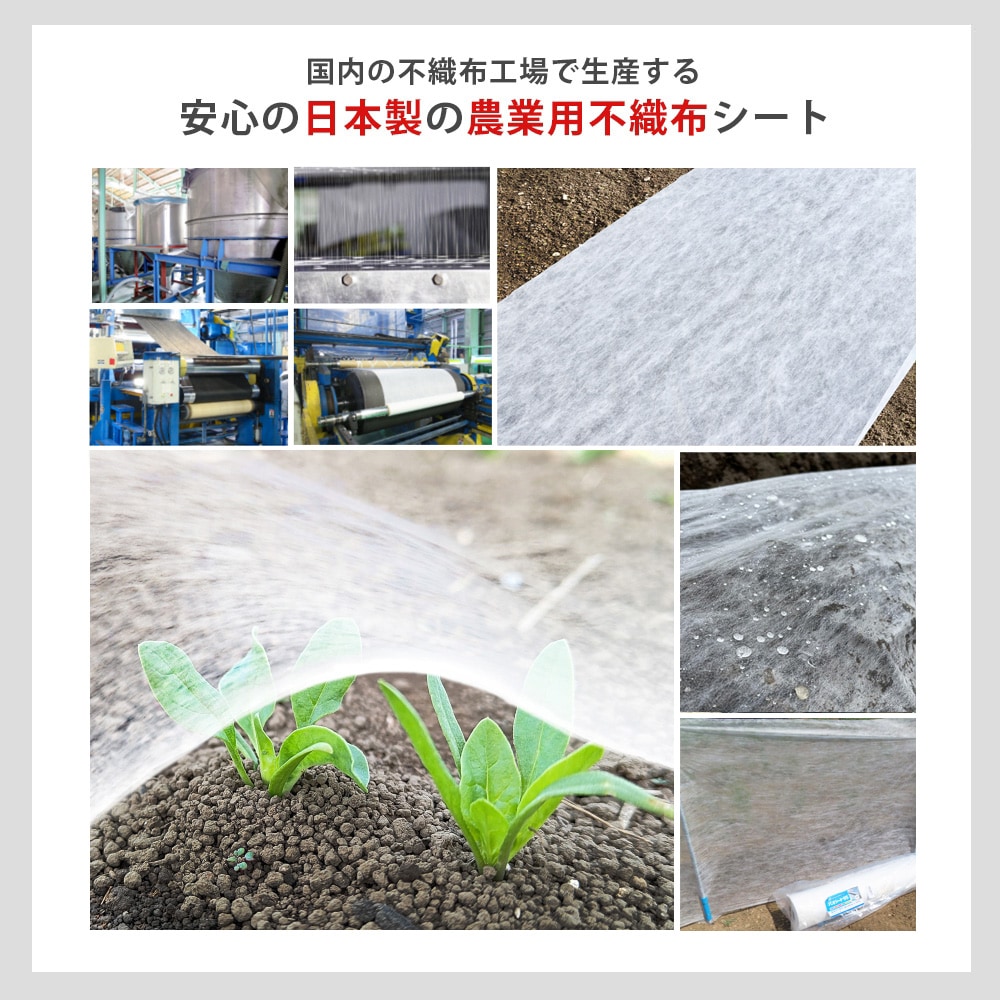 個人宅配送OK[95cm×200m] 農業用シート パオシート170 国産
