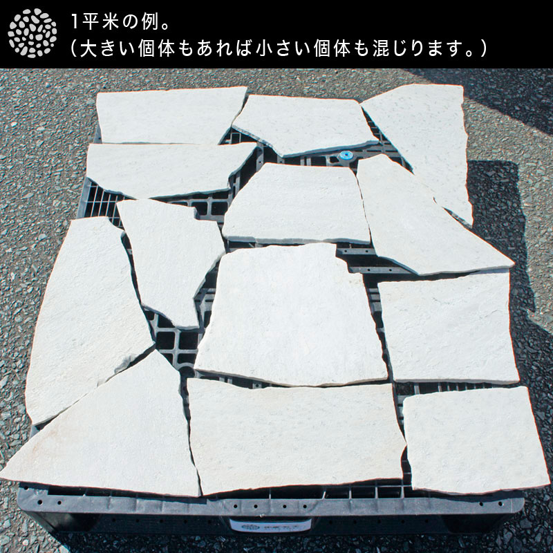 [約1平米] アルビノホワイト 薄手  厚み7～12mm  乱形石