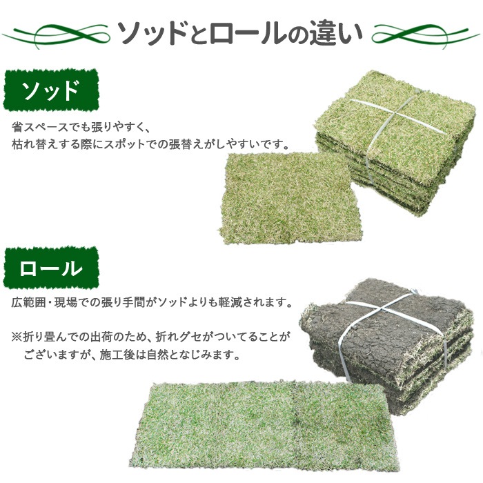 [ソッド 2平米分] NT22 高級天然芝 省管理 高麗芝 国産 【通常便出荷】
