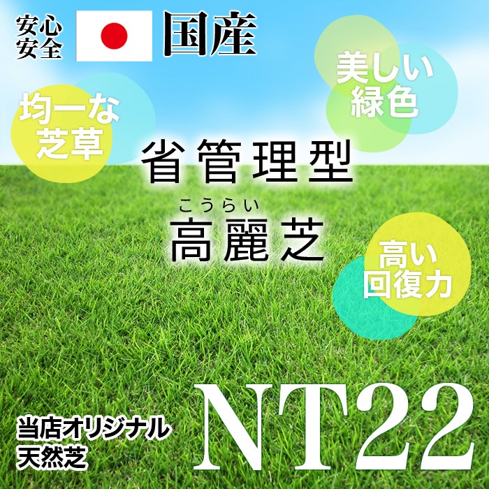 [ソッド 2平米分] NT22 高級天然芝 省管理 高麗芝 国産 【通常便出荷】