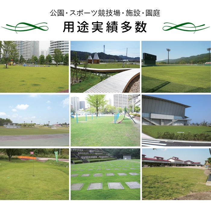 [ロール 2平米分] NT22 高級天然芝 省管理 高麗芝 国産 【通常便出荷】
