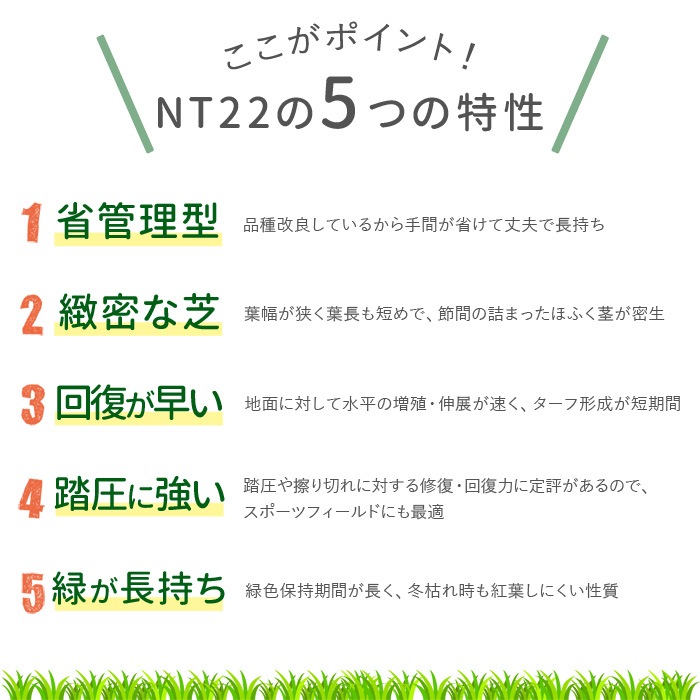 [ロール 2平米分] NT22 高級天然芝 省管理 高麗芝 国産 【通常便出荷】