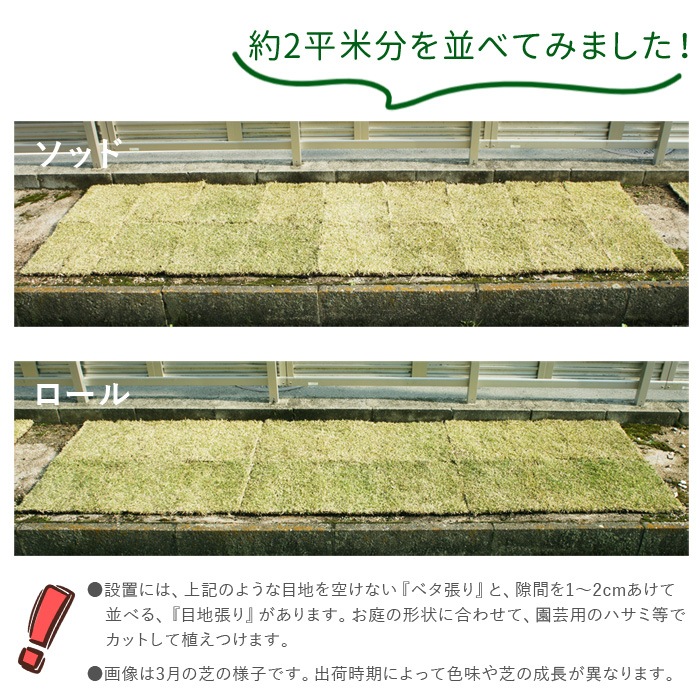 [ロール 2平米分] NT22 高級天然芝 省管理 高麗芝 国産 【通常便出荷】