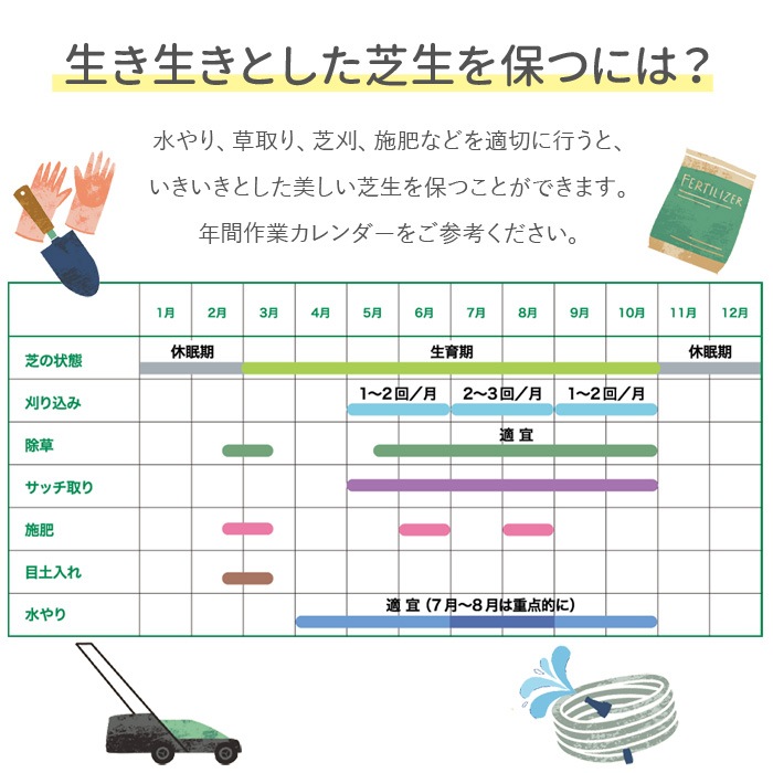 [ロール 2平米分] NT22 高級天然芝 省管理 高麗芝 国産 【通常便出荷】
