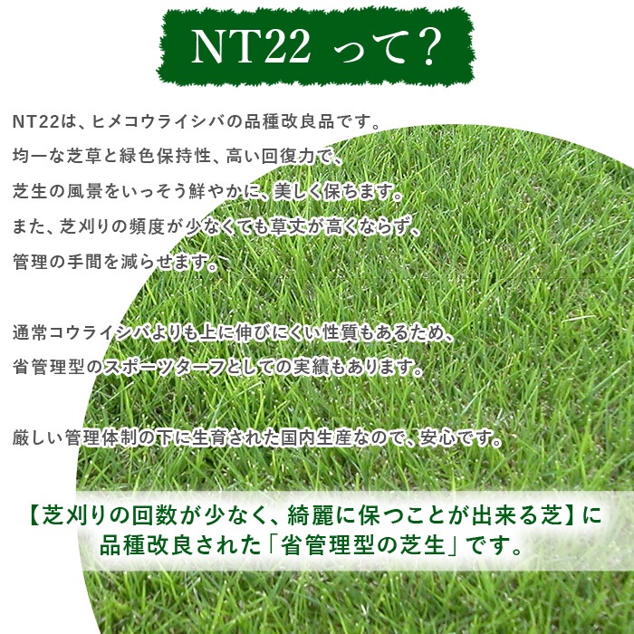 [ロール 2平米分] NT22 高級天然芝 省管理 高麗芝 国産 【通常便出荷】