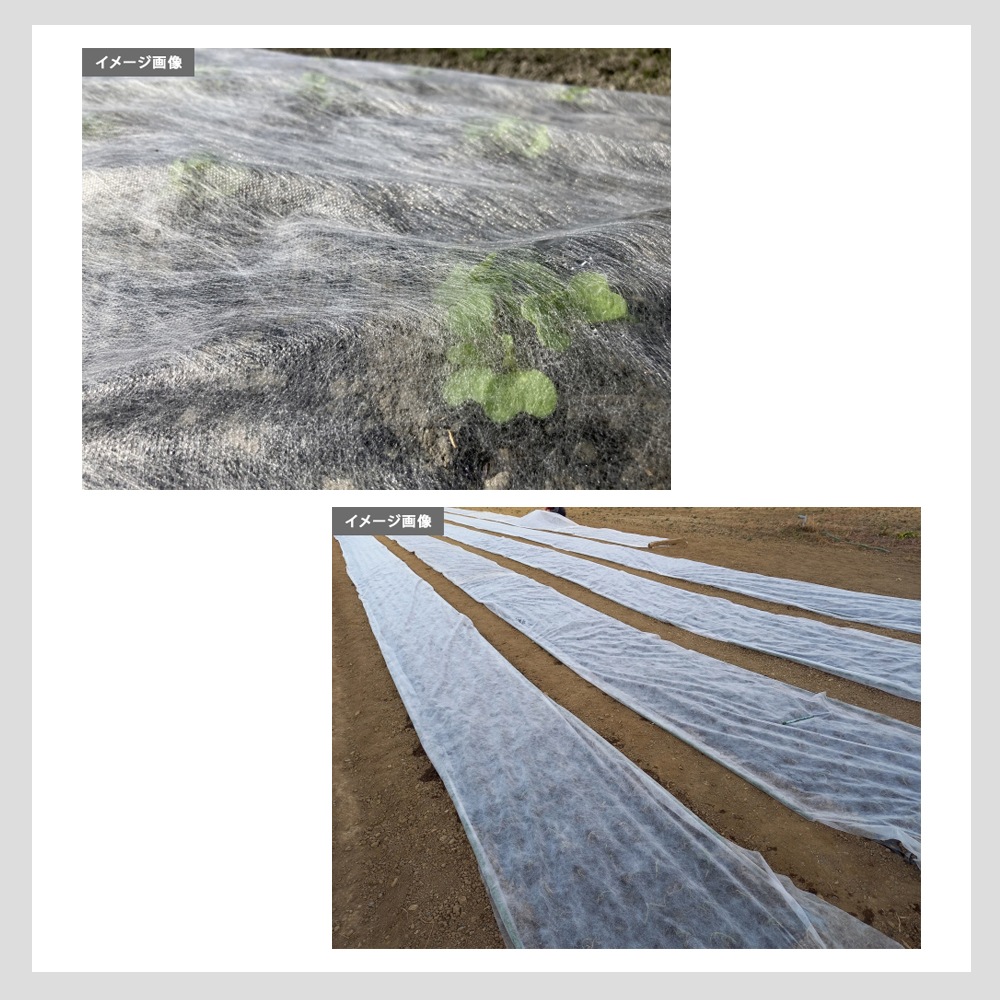 [95cm×200m] 農業用シート パオシート95 国産 日本製 ポリプロピレン製 不織布 NITTOSEKKO