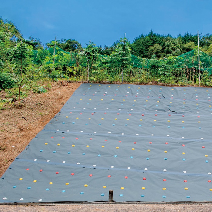 [300個] GAW カラー ワッシャー ドーム型  NITTOSEKKO