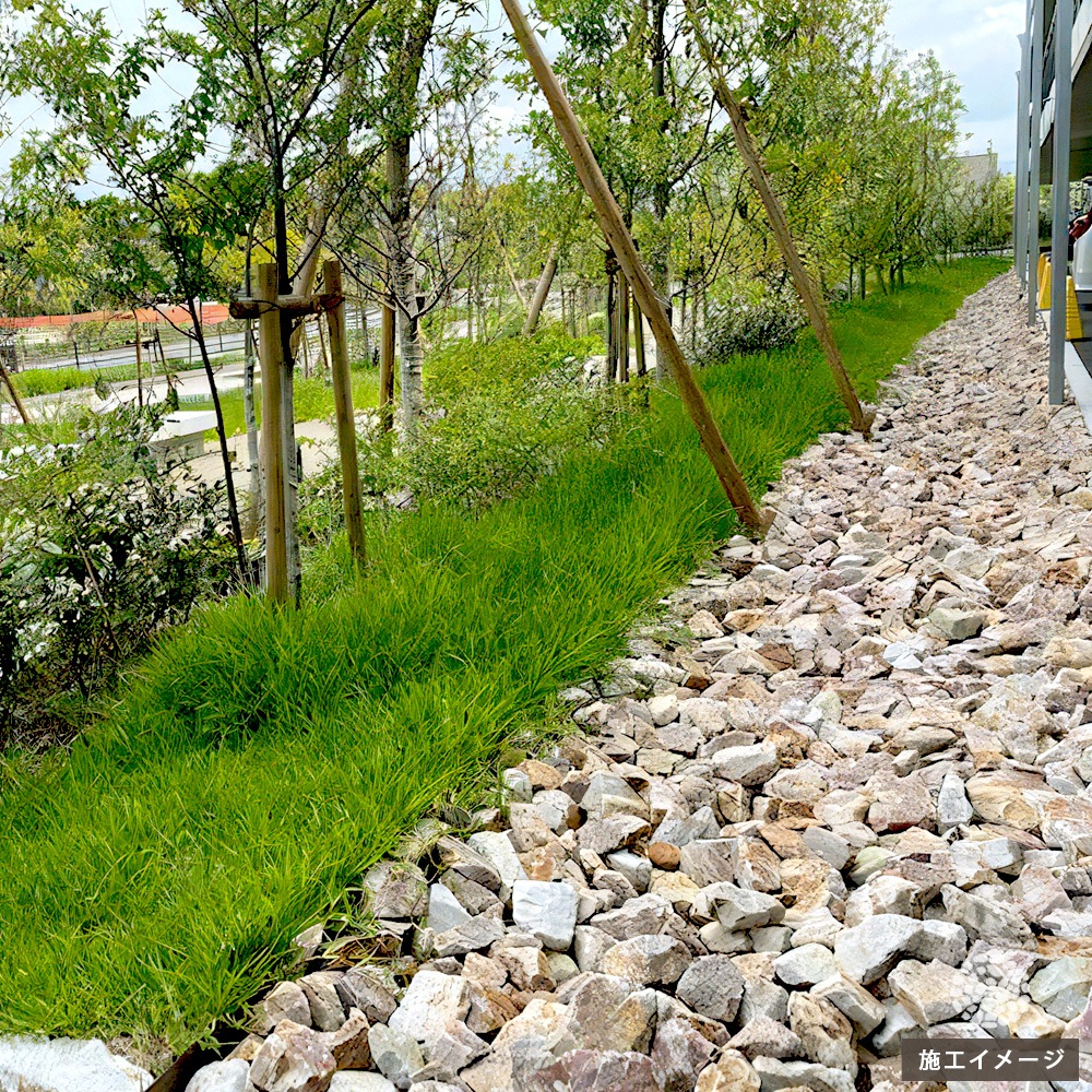 ［割栗石］五島蝋石　約23kg 国産