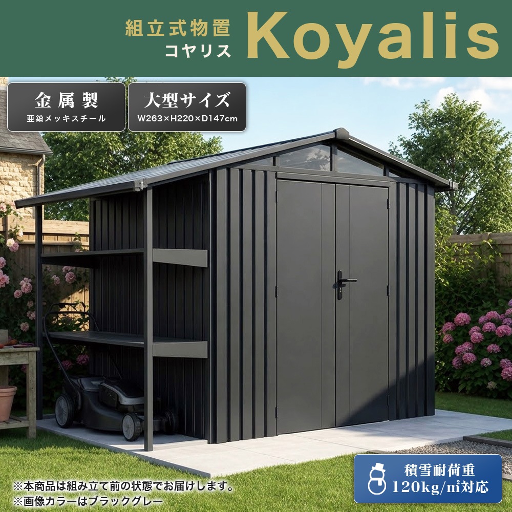 個人宅配送OK　SOTOLIS［263cm×147cm］物置 コヤリス KS-01 GA型 ソトリス
