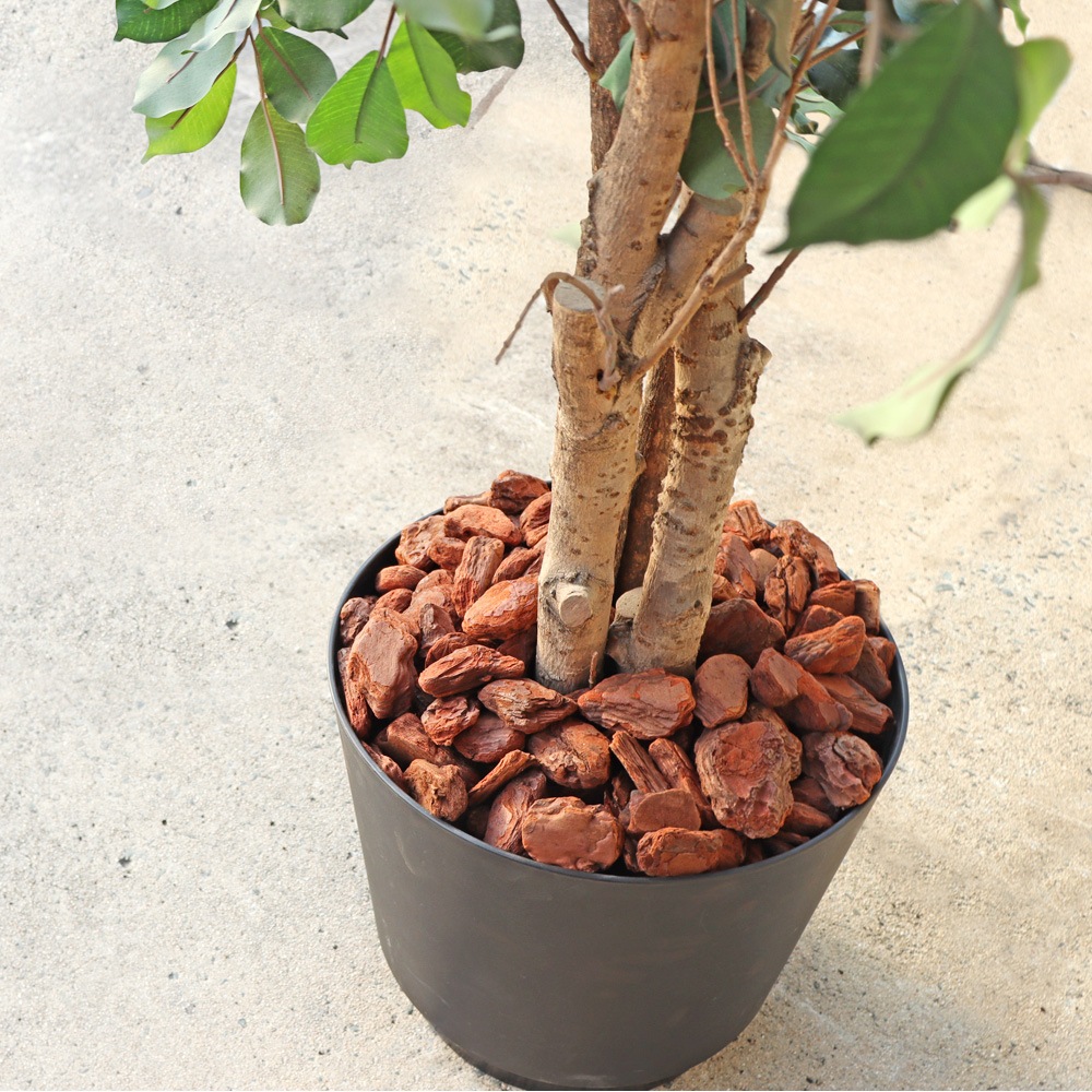 [Mサイズ][50L] WAVE BARK ウェイブバーク 天然木 バークチップ NITTOSEKKO