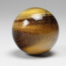 �������������ݶ̡�31mm����4467��