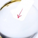 ŷ���徽�̡����˾�������ʪ�Τ�䤢�ꡡ29.5��������4516��