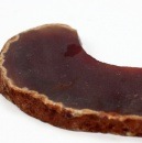 �����ͥꥢ���������ġ���5002��