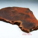 ���㥹�ѡ����С���5421��