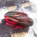 �����ͥåȸ��С�Ķ�����ʡ���5493��